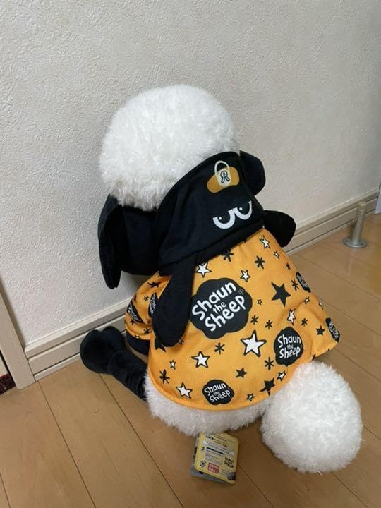 Amazon.co.jp: ひつじのショーン Bigぬいぐるみ : おもちゃ